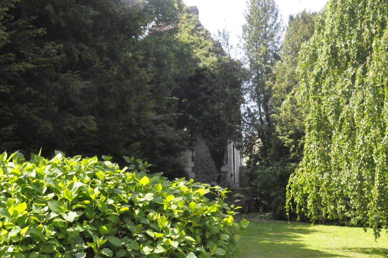 Chateau De St Sauveur D'Émalleville Buitenkant foto